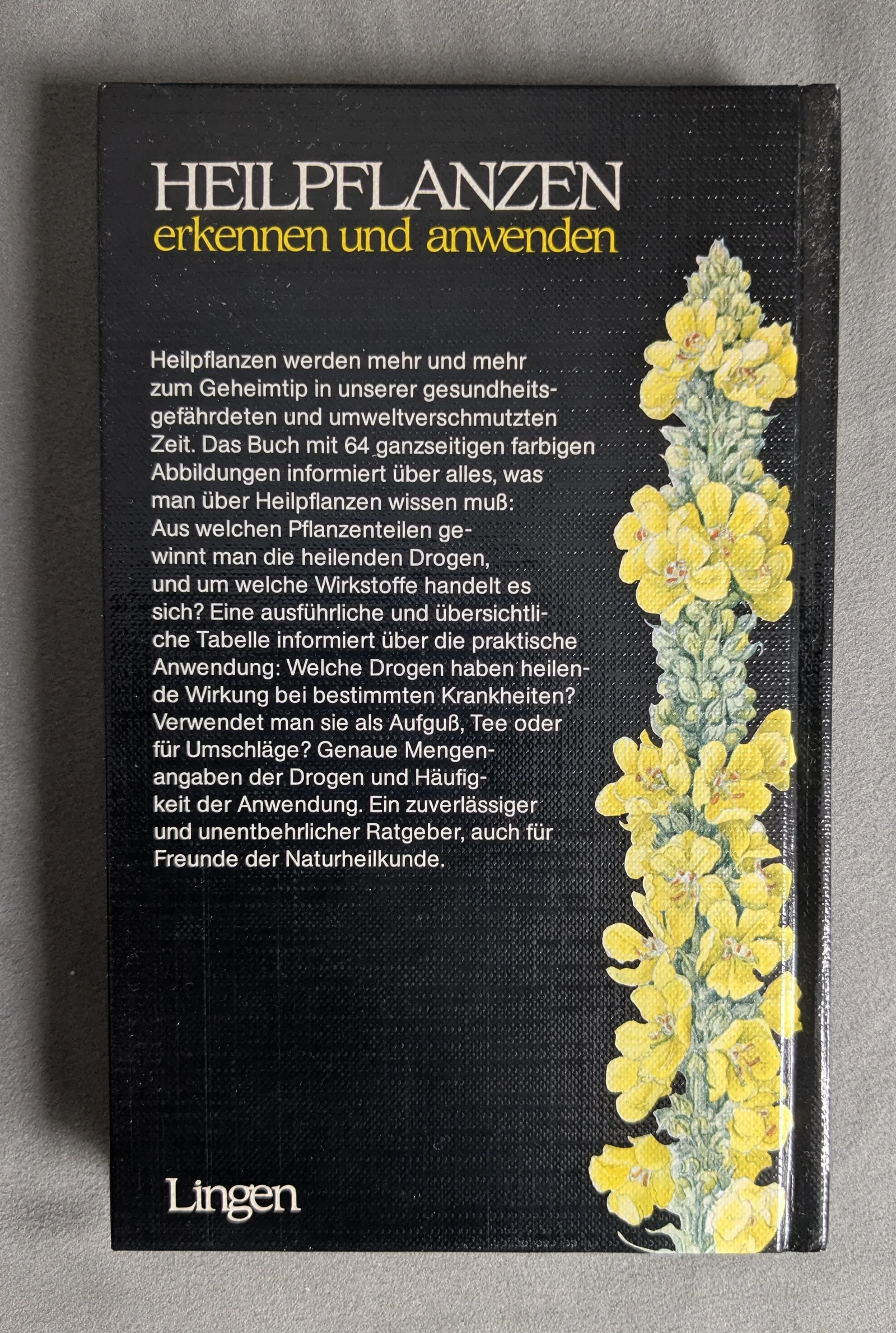 HEILPFLANZEN erkennen und anwenden