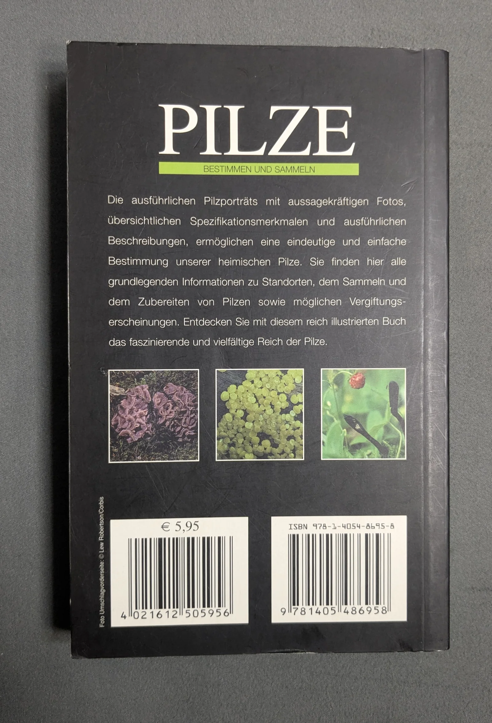 Pilze Bestimmen und Sammeln Pilzführer Bestimmungsbuch Naturführer Taschenbuch
